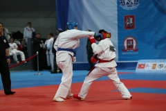 chm_2013_004