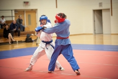 cup_world_2010_031