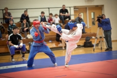 cup_world_2010_033