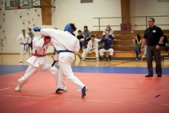 cup_world_2010_041