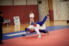 cup_world_2010_070